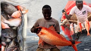 Download Lagu NIEUWE STAGIAIR VANGT EERSTE GROTE SNAPPER MP3