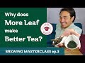 Why Does MORE LEAF MAKE BETTER TEA - Brewing MASTERCLASS