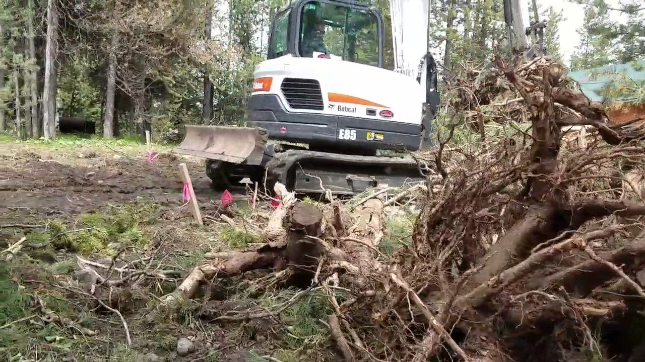 Land Clearing, What to Do with Tree Stumps - YouTube
