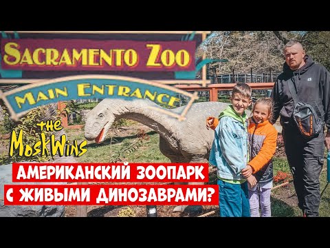 🦁 Зоопарк в США ► Интересные животные, которых не встретишь в РОССИИ!