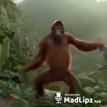 Besok libur