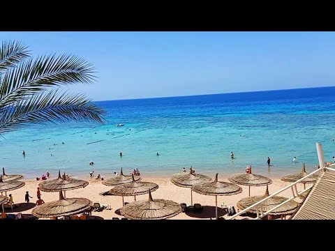 جولة في ريف أواسيس بيتش ريزورت سنتيدو شرم الشيخ        