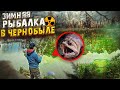 Зимняя Рыбалка в Припяти / Что это мы поймали?