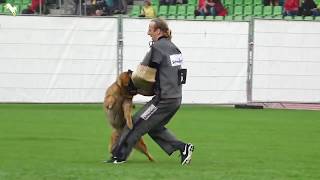 Zombi Feetback V37 Ghklr Bszs 2017