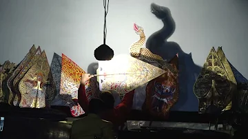 PENTAS WAYANG KULIT  DI PERUSAHAAN GULA TRANGKIL PATI DALANG KI MPP BAYU AJI