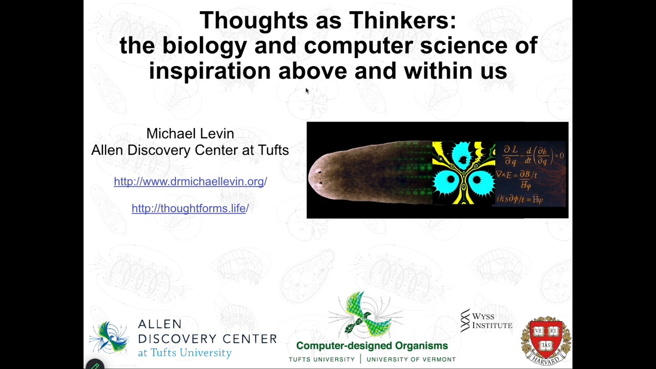 "Thoughts as Thinkers: the biology & computer science of inspiration" by Michael Levin