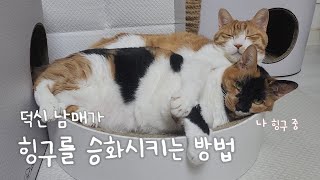 덕신 남매가 힝구를 승화(?)시키는 방법....!