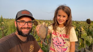 Dove Hunting with a Mini Me!!! (Limited)