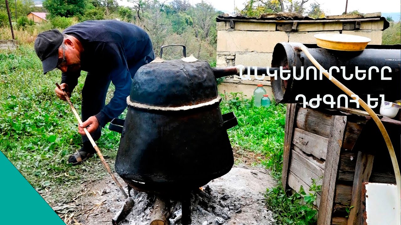 «Ջունգլիների» սրտաբաց մարդիկ ու խնդիրները