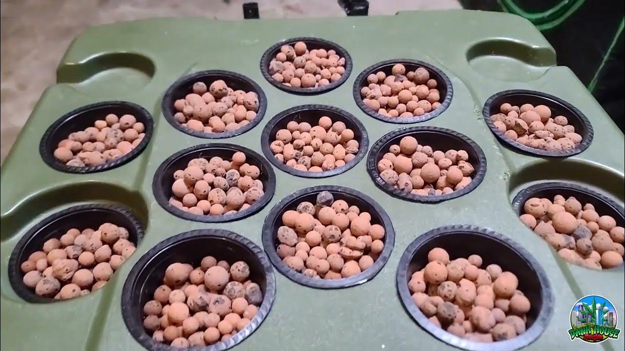 How To Build An internal Pump Cloning Machine YouTube