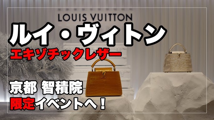 First Impression: Louis Vuitton Teddy/Shearling OnTheGo 