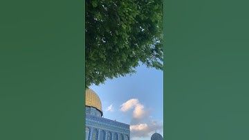 القُرآن الكريم بصوت الشَيخ أُسَامَة بِن لَادن تَقبَّلَهُ اللّٰه #اكسبلور #تلاوات استغفر الله تلاوة