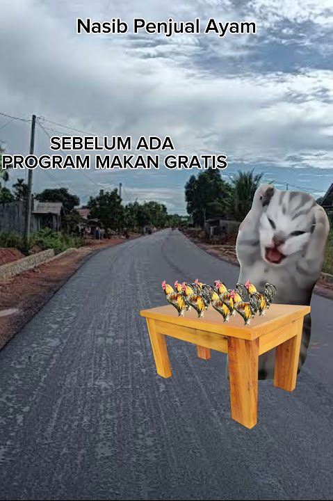 Nasib Penjual Ayam Sebelum Dan Sesudah Ada Program Makan Bergizi Gratis #meme #kucing #kucingngakak