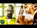 Top 24 Best Super Bowl Commercials of Each Year (2000 - 2023)