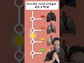 Teste a saúde dos seus PULMÕES #curiosidades #vocesabia #fatoscuriosos #fatosinteressantes