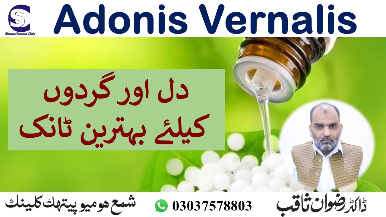 Adonis Vernalis || Homeopathic Medicine || دل اور گردوں کیلئے بہترین ٹانک || By Dr. Rizwan Saqib