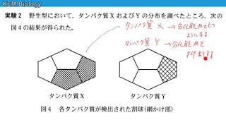 高校生物「センター2016　大問2　Aウニの受精と発生　B被子植物の受精」