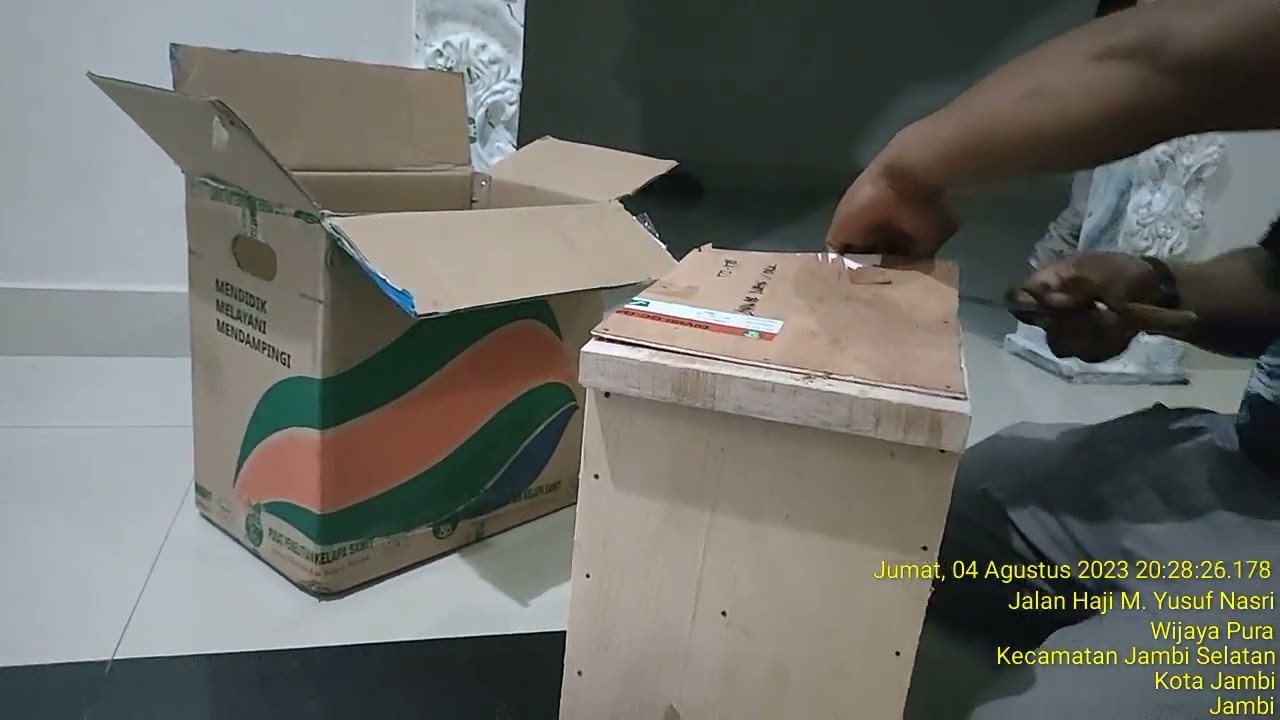 UNBOXING KECAMBAH PPKS ORIGINAL, PETANI TANJUNG JABUNG TIMUR PROVINSI JAMBI 082375509846