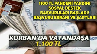Kurban Bayramı 1100 Tl Pandemi Destek Başvurusu Kurban Bayramı Öncesi Pandemi Parası Ne Zaman ?