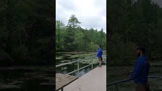 St Johns Conservation Area | Urban Fishing Locations