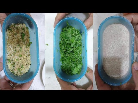 مراد قسنطينة يشرح طريقة تغذية صغار الحسون ما بعد 10 ايام 2021
