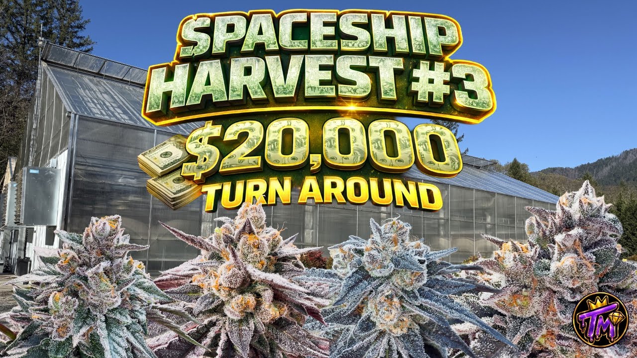 THE $20,000 SPACESHIP TURN OVER