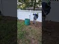 clean up and grass cut #lawncare