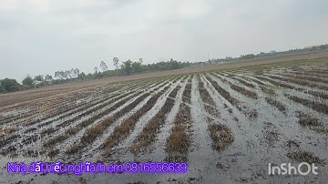 cần bán DT 2 mẫu 6 đất lúa 3 vụ đất  thuộc huyện Mộc Hóa tỉnh Long An lh em 0816556639