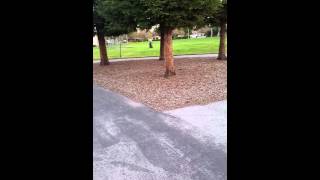 20141230_164301.mp4