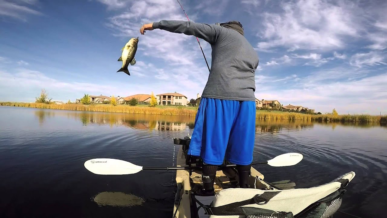 NorCal Neighborhood Fishing (Lincoln,CA) 