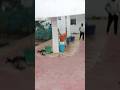 Mah-e Ramdan day 8 #viral #minivlog #trending
