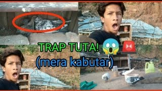 Pyaar hi Pyaar! ❤️ Maa Kabootar Apne Bachche ko Kaise Khilati Hai Dekhiye Nazara #kabutar #vlog 