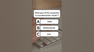 What part of the computer is considered the "brain"?#quiz #computerknowledge #vocabulary #trivia