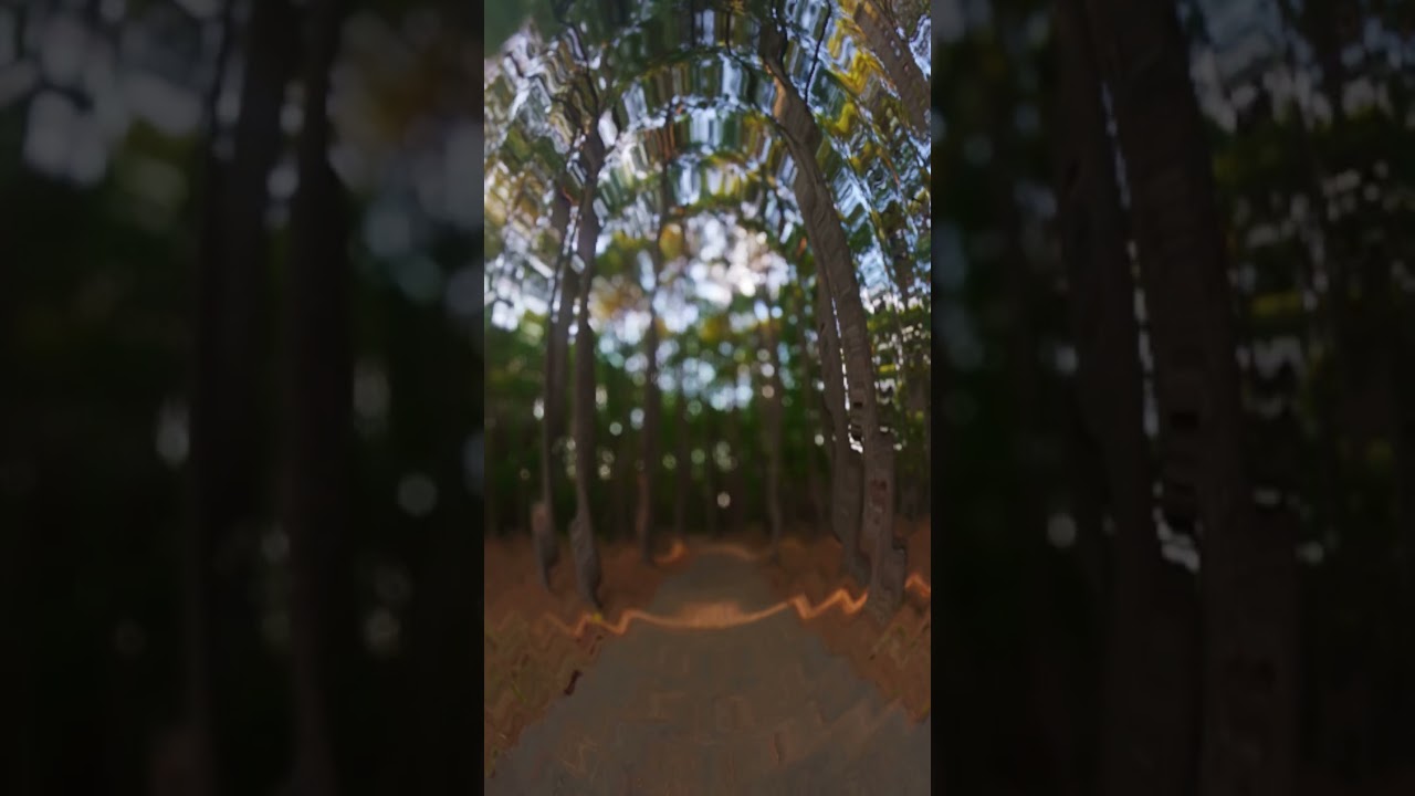 step inside a memory you almost had. | pov dreamcore short film