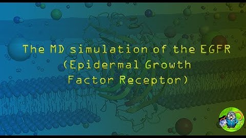 EGFR receptor MD simulation with ions and water system.