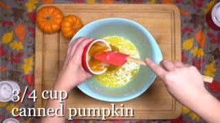 Pumpkin Chocolate Chip Muffins