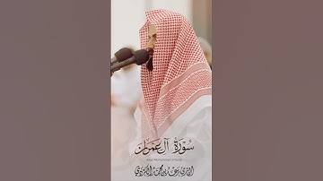 Raad Al kurdi new Whatsapp status 2024 / رعد الكردي حالات واتس اب / سورة آل عمران