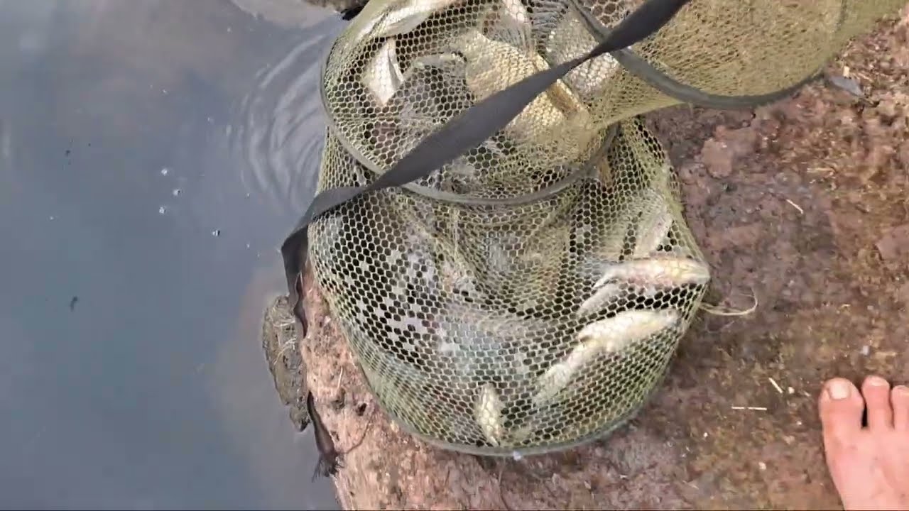 Săn hàng cuối năm