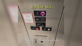 Up The Lift  - A Wisteria Bird Studios Original @WisteriaBirdStudios