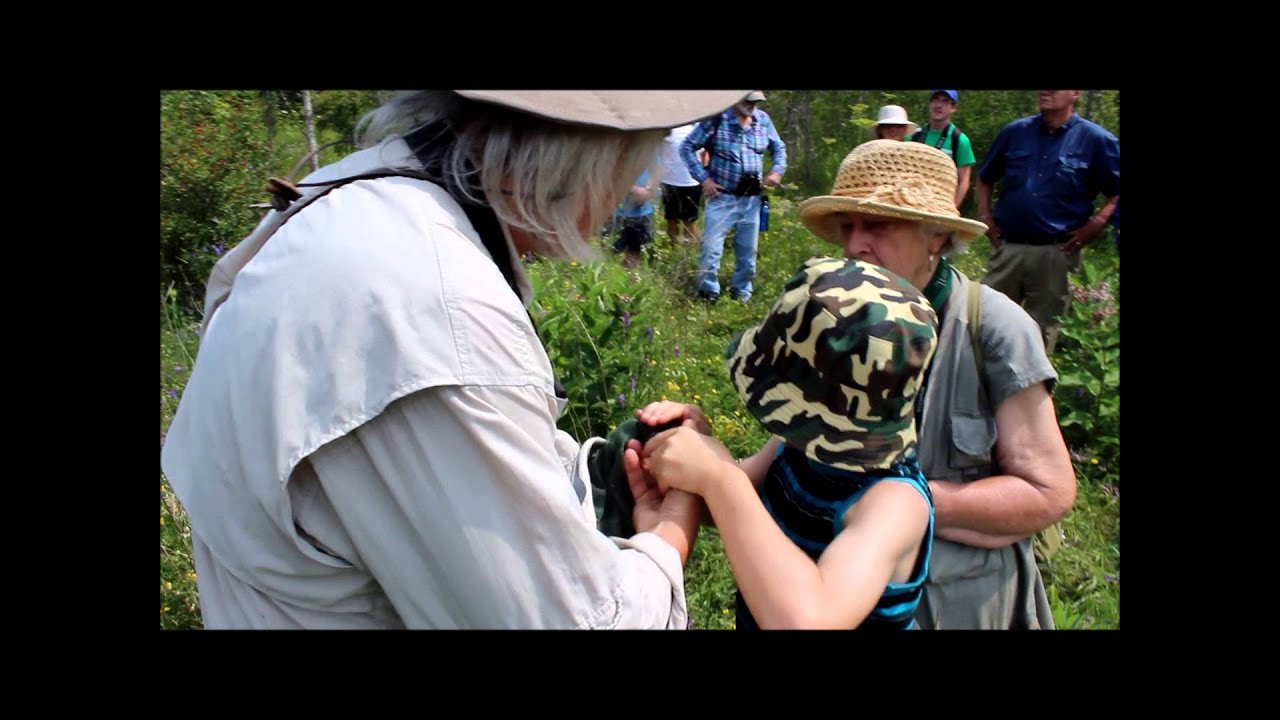 Michael Runtz in Batawa - Part 2 - YouTube