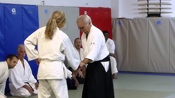 Takeguchi Shihan at Allegheny Aikikai, June 28th 2014 - 08