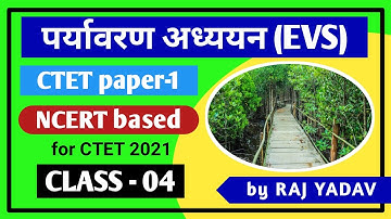 Class 4 | Environmental studies | EVS | CTET Paper-1 | पर्यावरण अध्ययन | NCERT evs