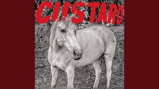 Video thumbnail of "Custard - Monday"