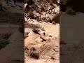 THIS is RED BULL RAMPAGE 😈🔥