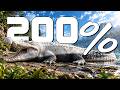 ผมเลี้ยงจระเข้น้ำเค็ม 200% ในเกม The Isle