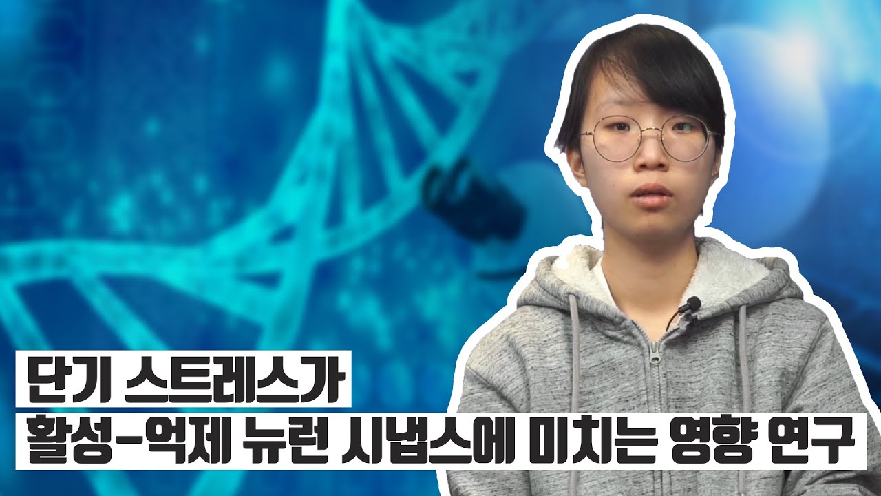 [B-GCTI] 단기 스트레스가 활성-억제 뉴런 시냅스에 미치는 영향 연구