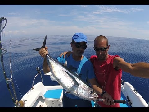 Alalunga – Pesca a traina d'altura