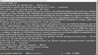 ZSSH Demo - longer