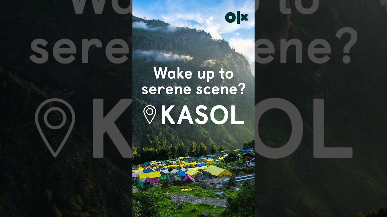 Discover the world with OLX Tour and Travel Services