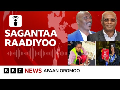 Hooggansi ABO Lamatti Qoodame Filannoo Dura Tokko Ta Aa BBC News Afaan Oromoo